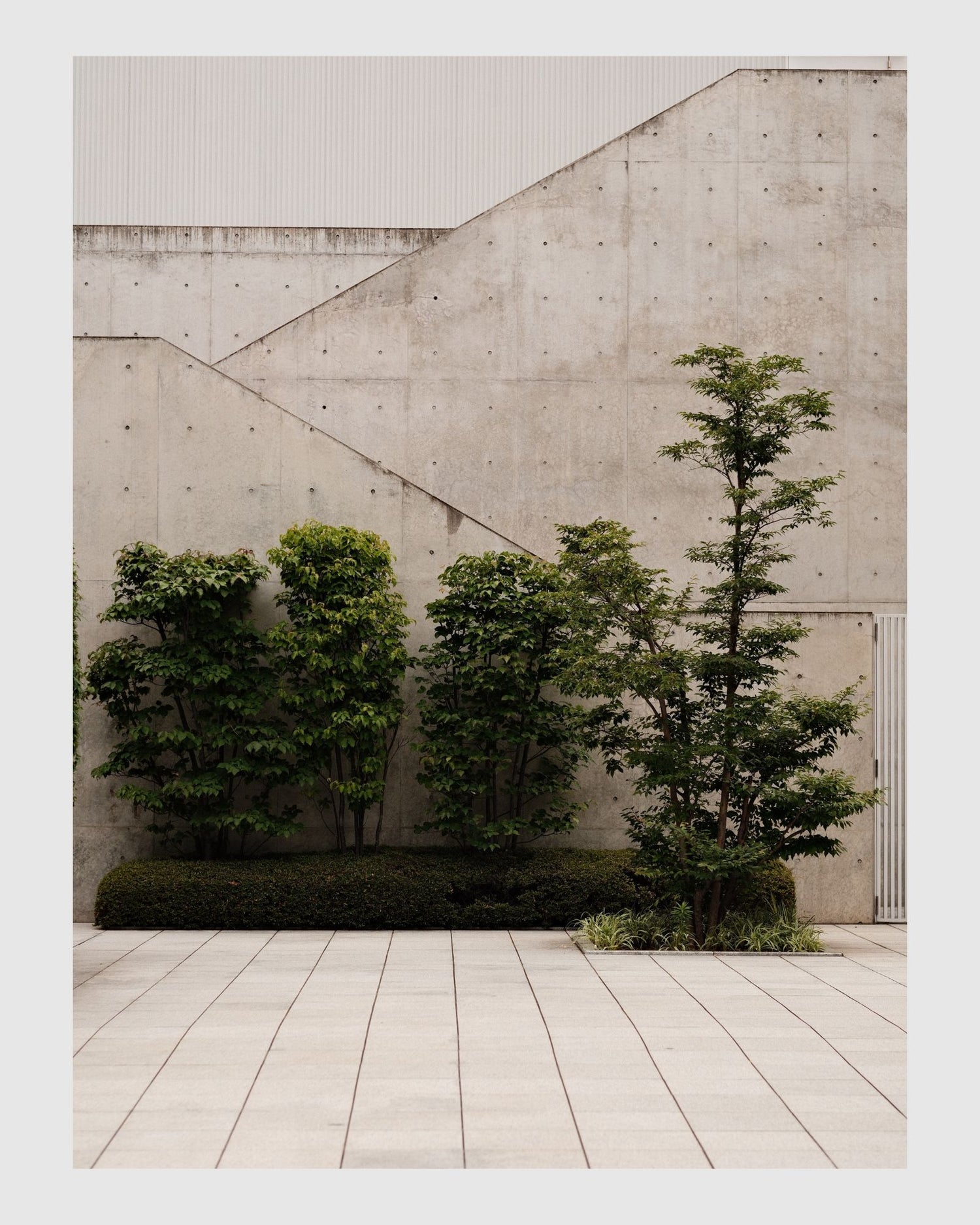 JAPAN 8
