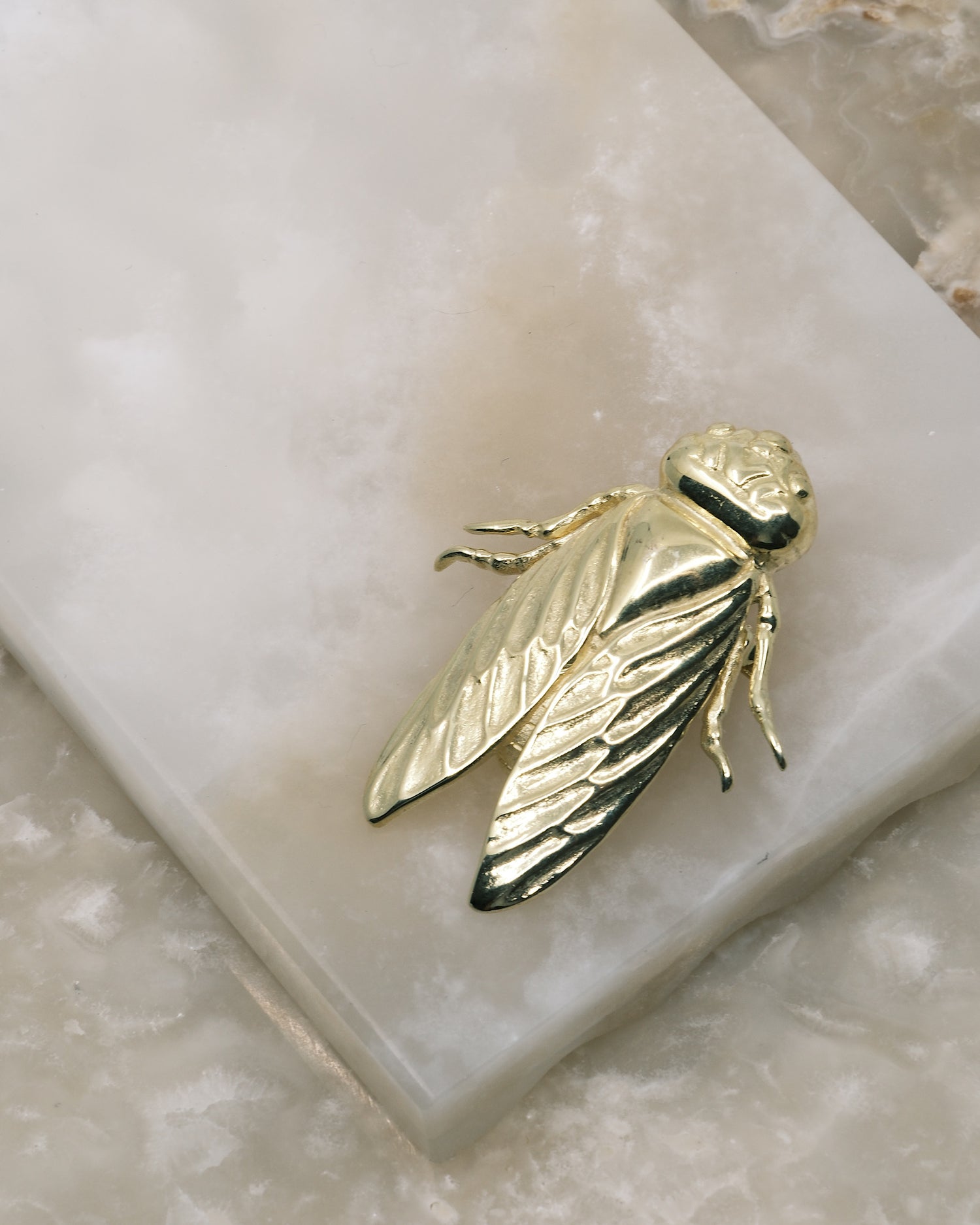 a gold cicada sits on stone slabs