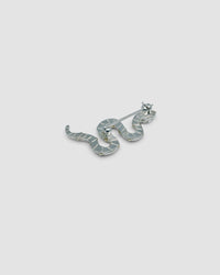 the back of a snake brooch - silver stripe detail and clasp