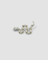 a silver snake brooch with gold stripes
