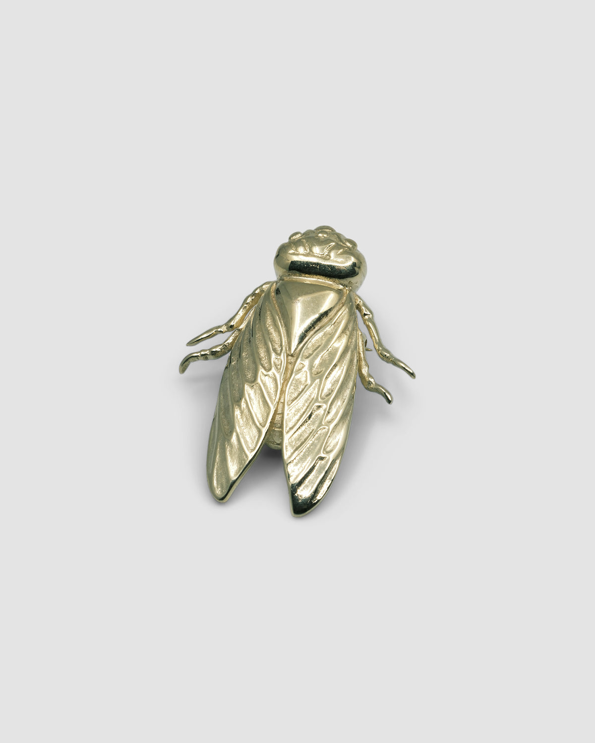 a gold cicada brooch