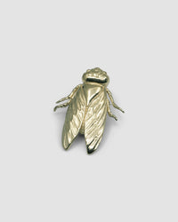 a gold cicada brooch