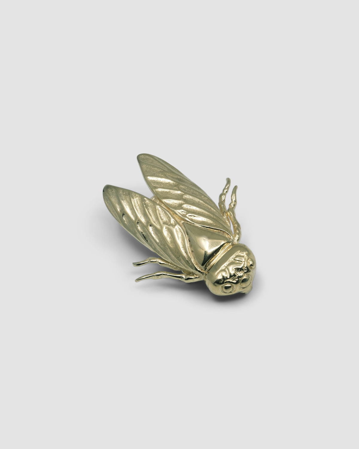 a gold cicada brooch