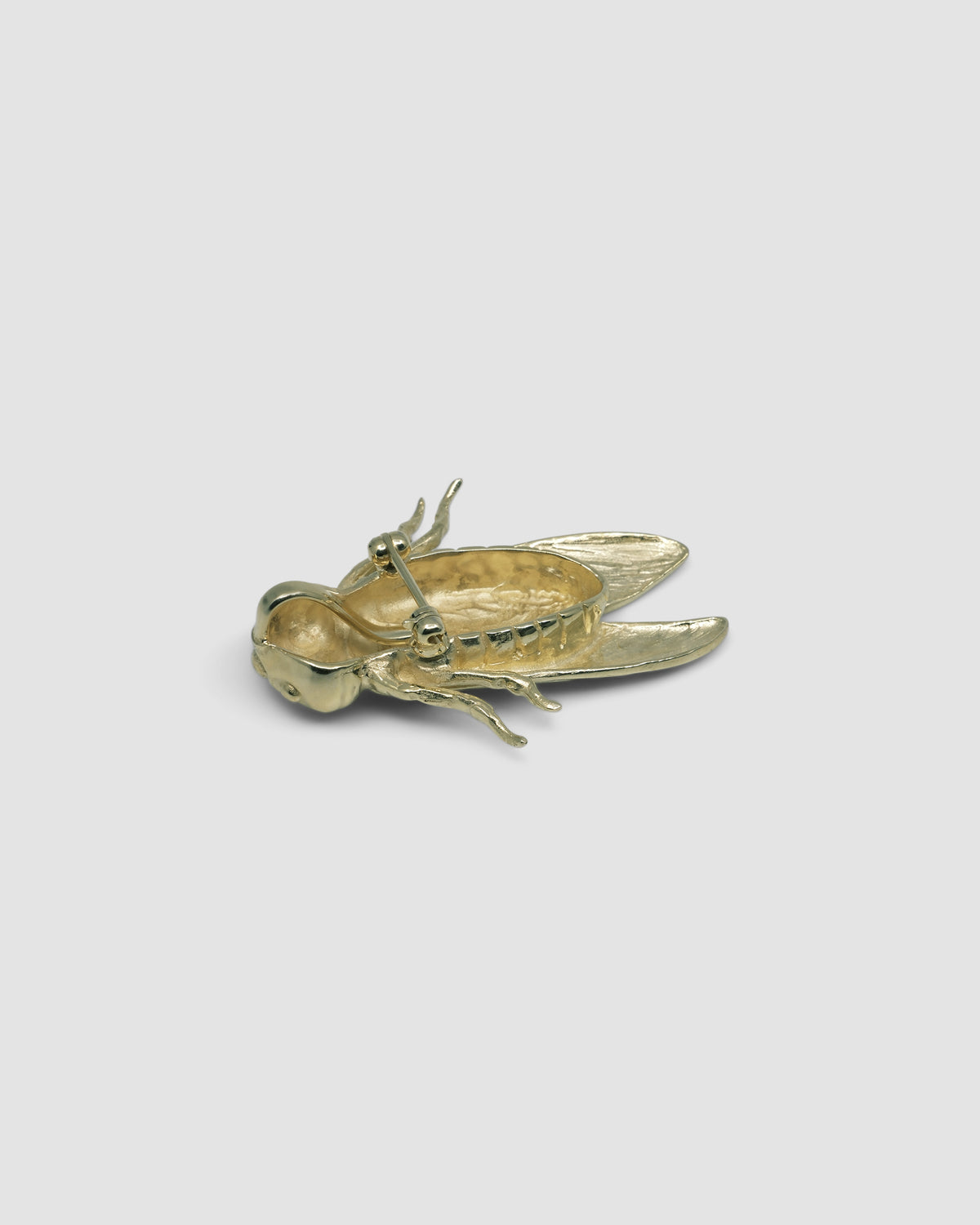 the back of a gold cicada brooch showing the pin