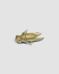the back of a gold cicada brooch showing the pin