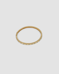 TURQUOISE CHEETAH BANGLE - The Pared Store
