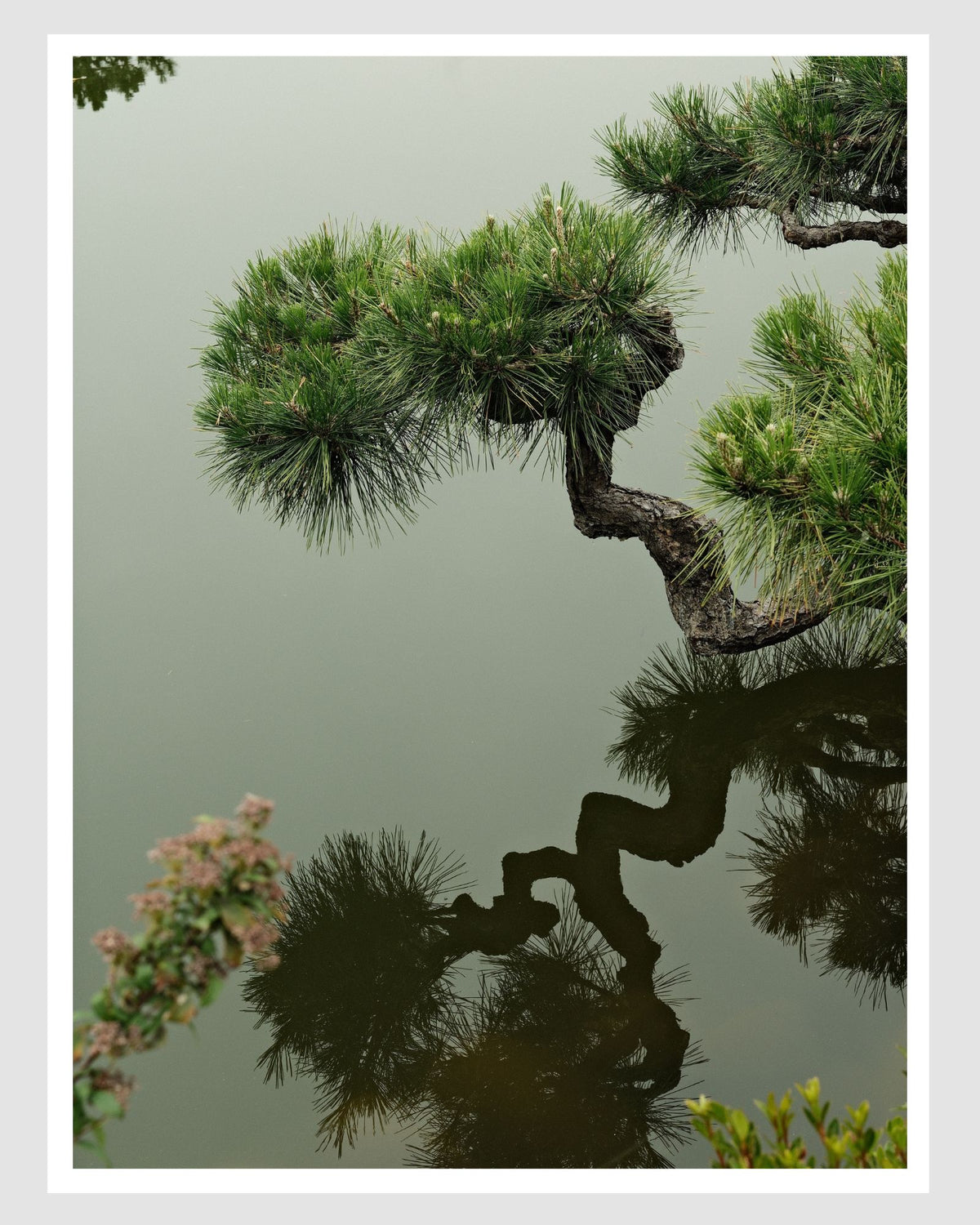 JAPAN 6