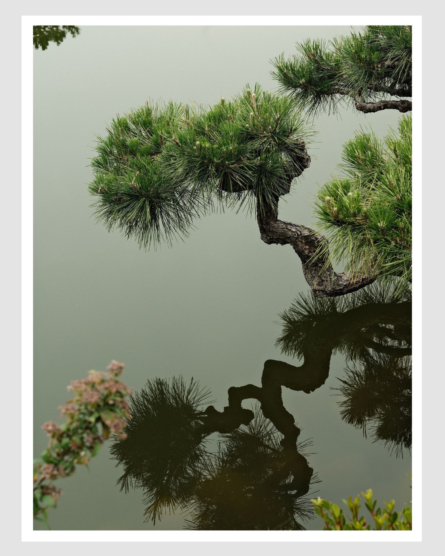 JAPAN 6