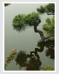 JAPAN 6