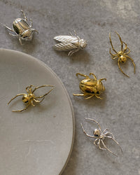 beetle and spider brooches