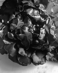 detail of a black peony flower