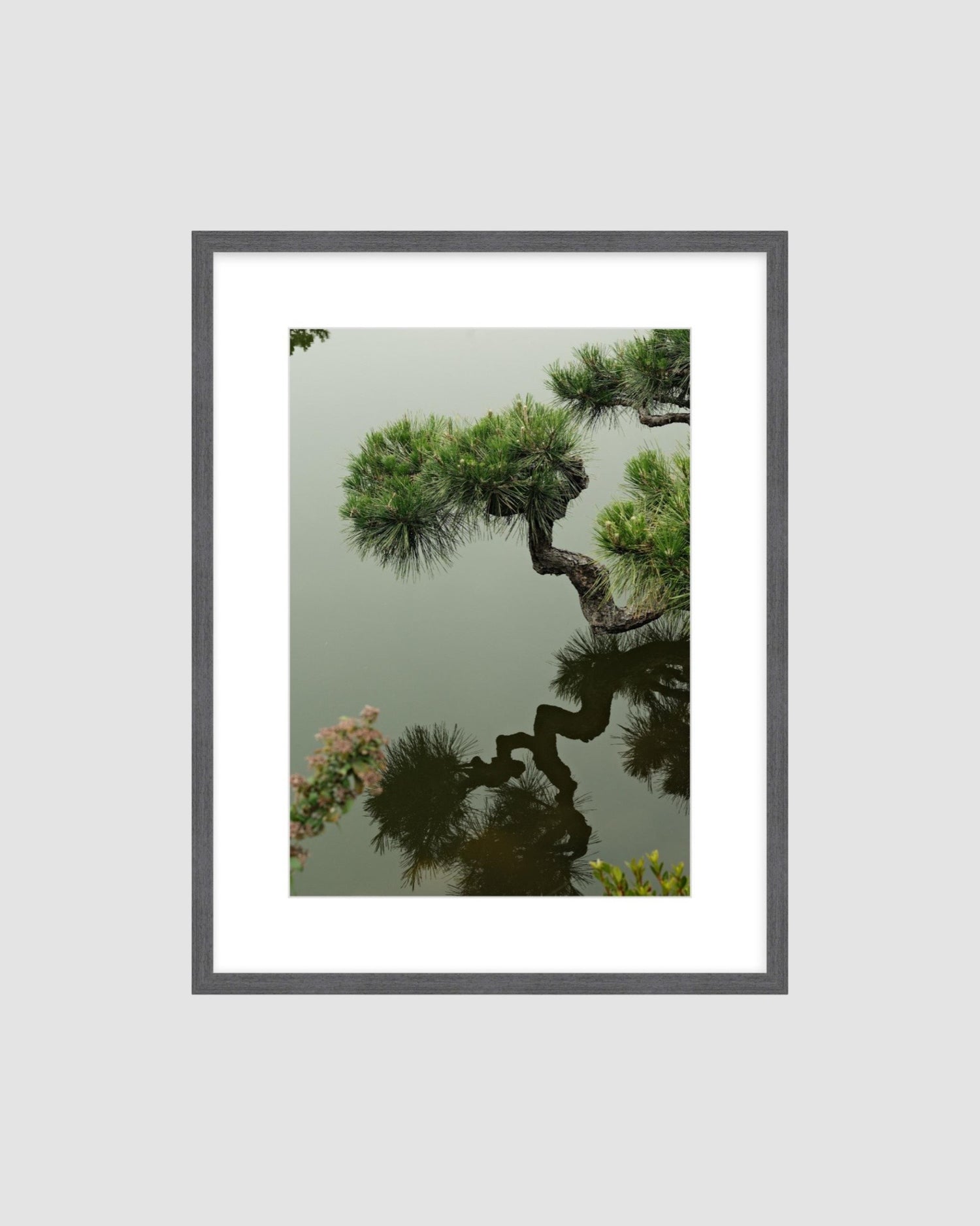 JAPAN 6