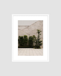JAPAN 8