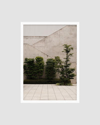 JAPAN 8