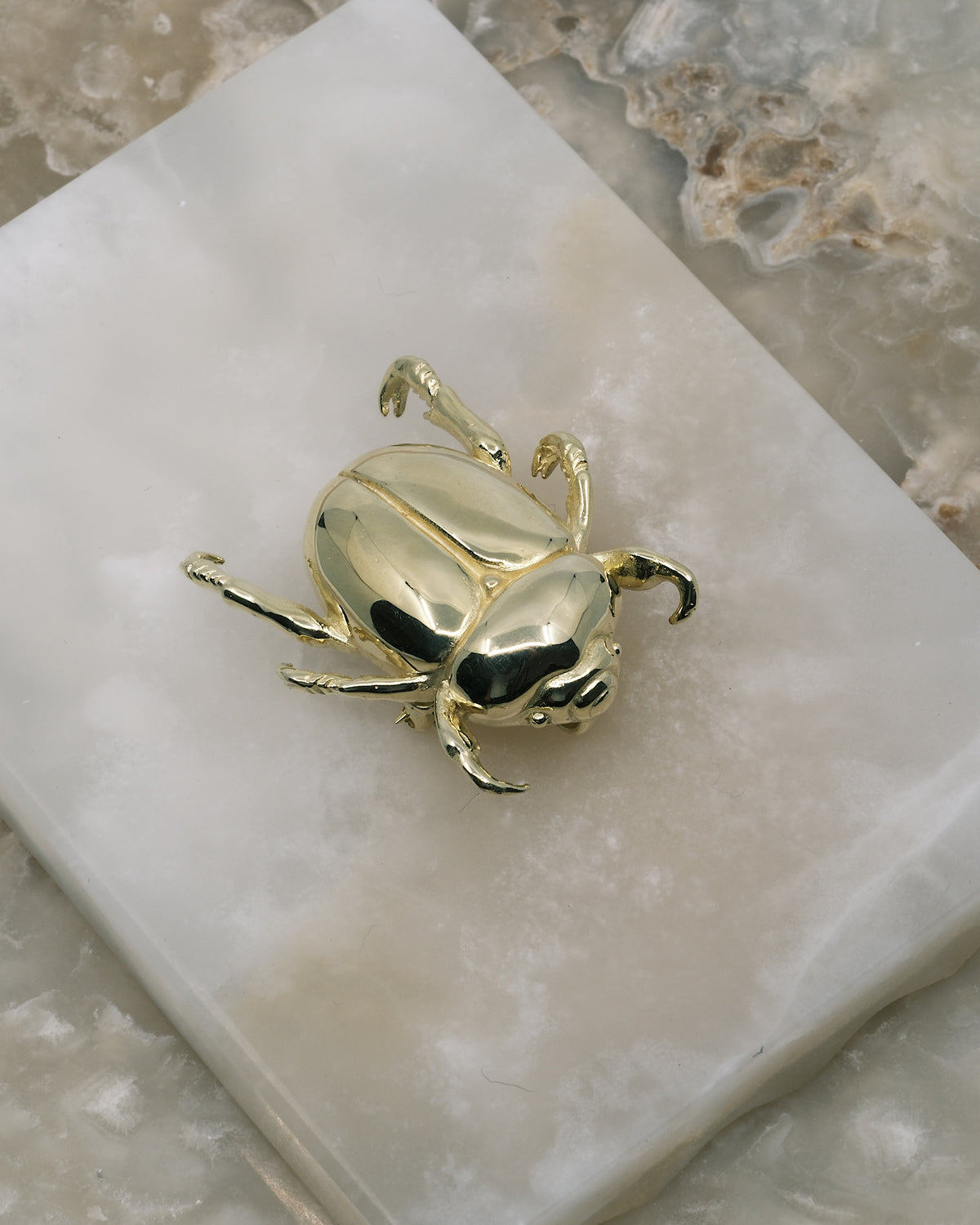 a gold christmas beetle sits on slabs of stone