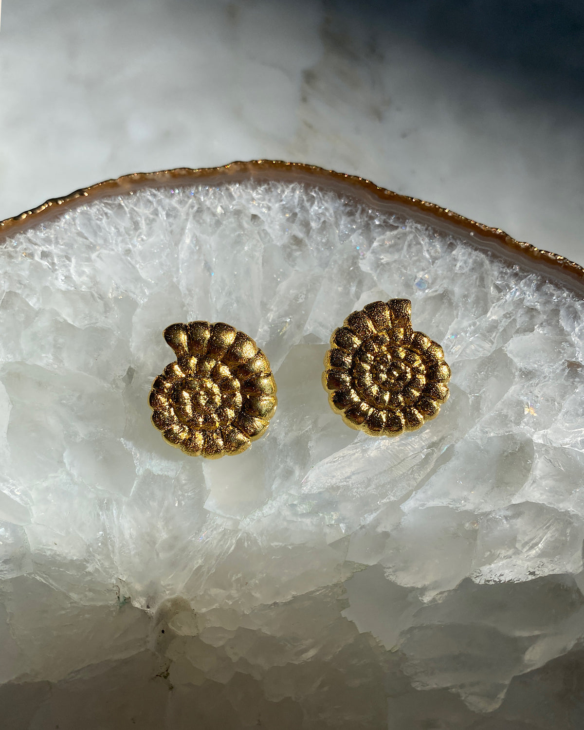 Soru Uk gold swirl shell earrings sit on a clear crystal background available in Surry Hills at The Pared Store