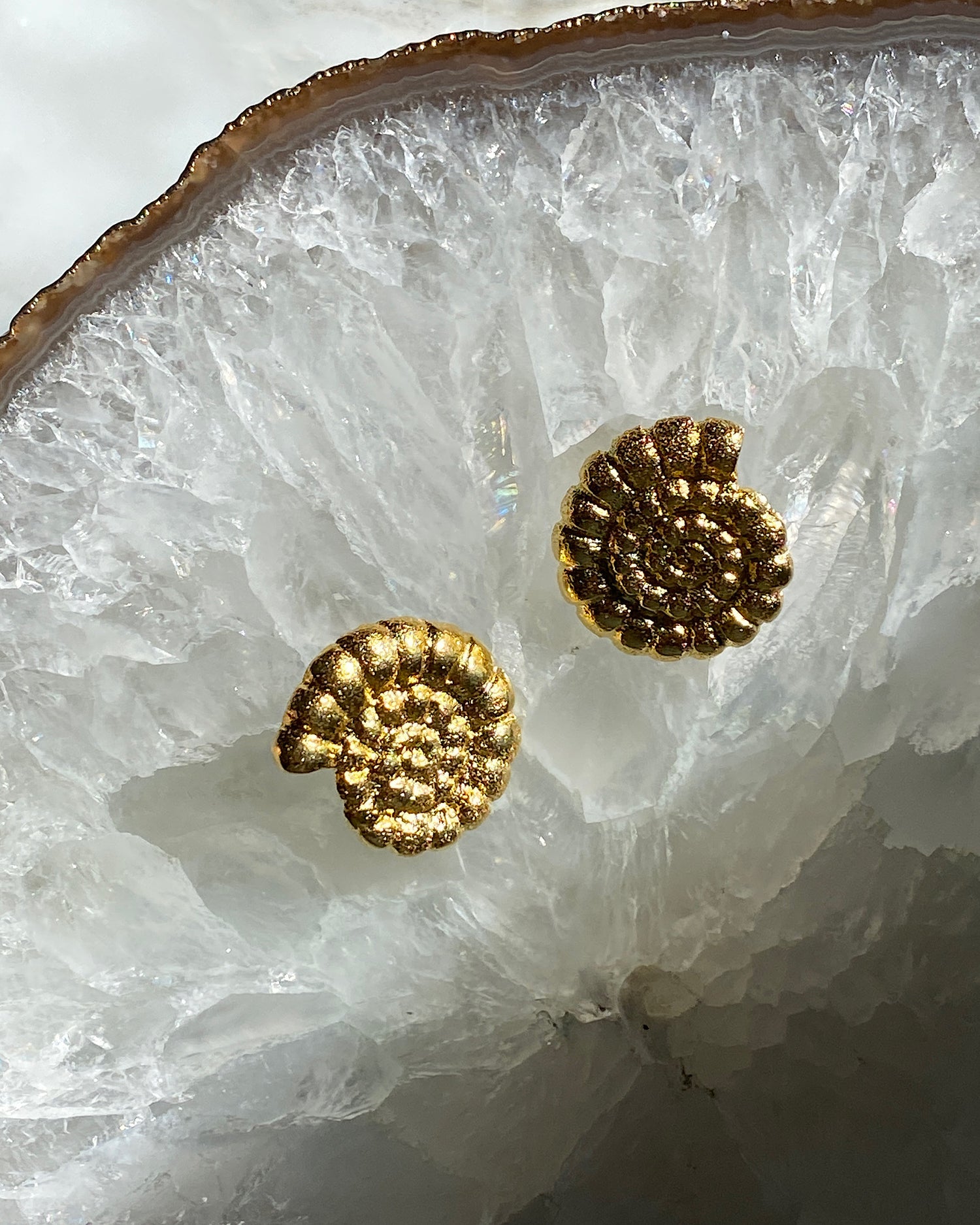 Soru Antica gold swirl shell earrings sit on a clear crystal background available at The Pared Store