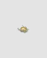 a gold christmas beetle brooch showing the clasp