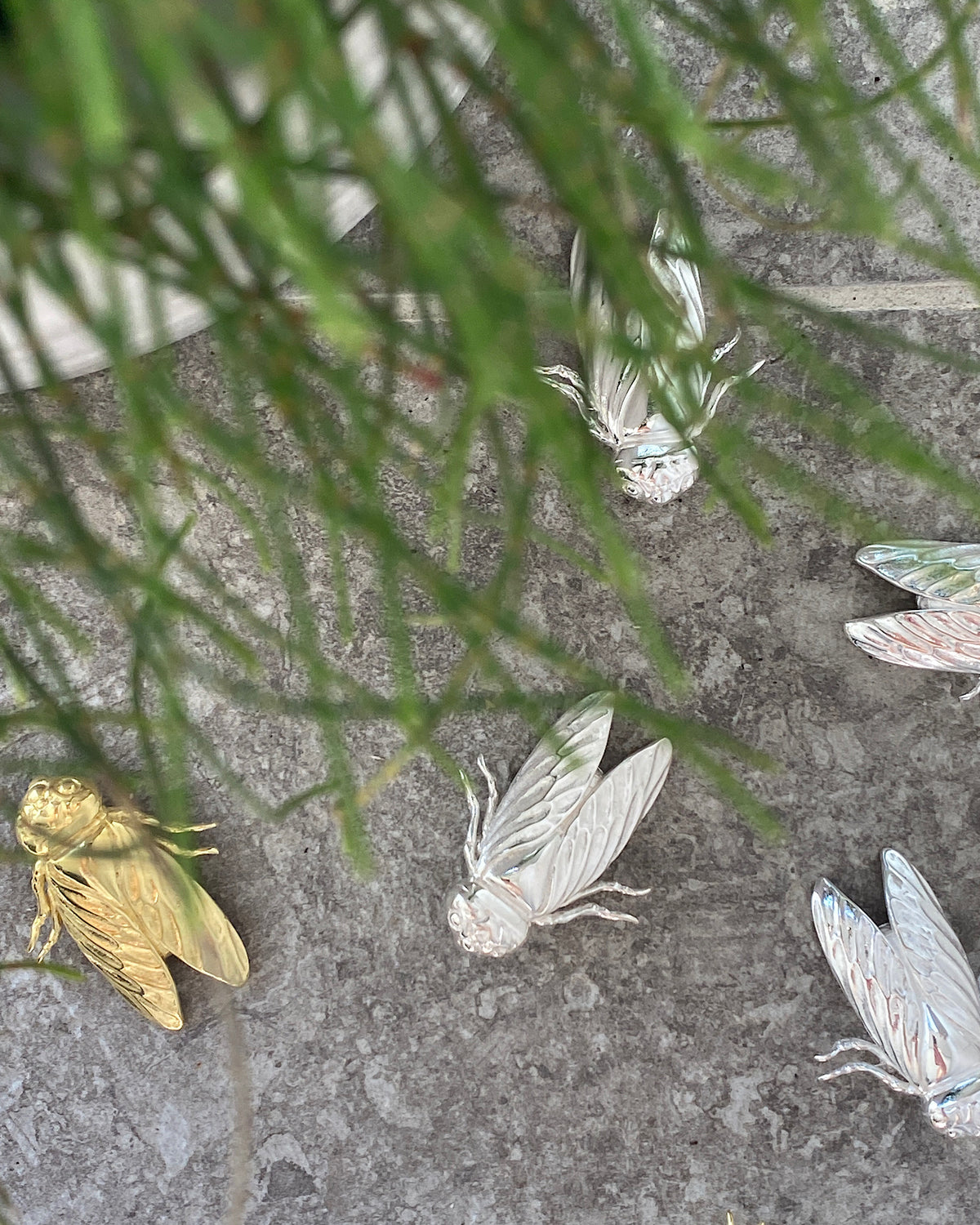 silver and gold cicada brooches with greenery in the foreground