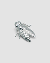 a silver cicada brooch