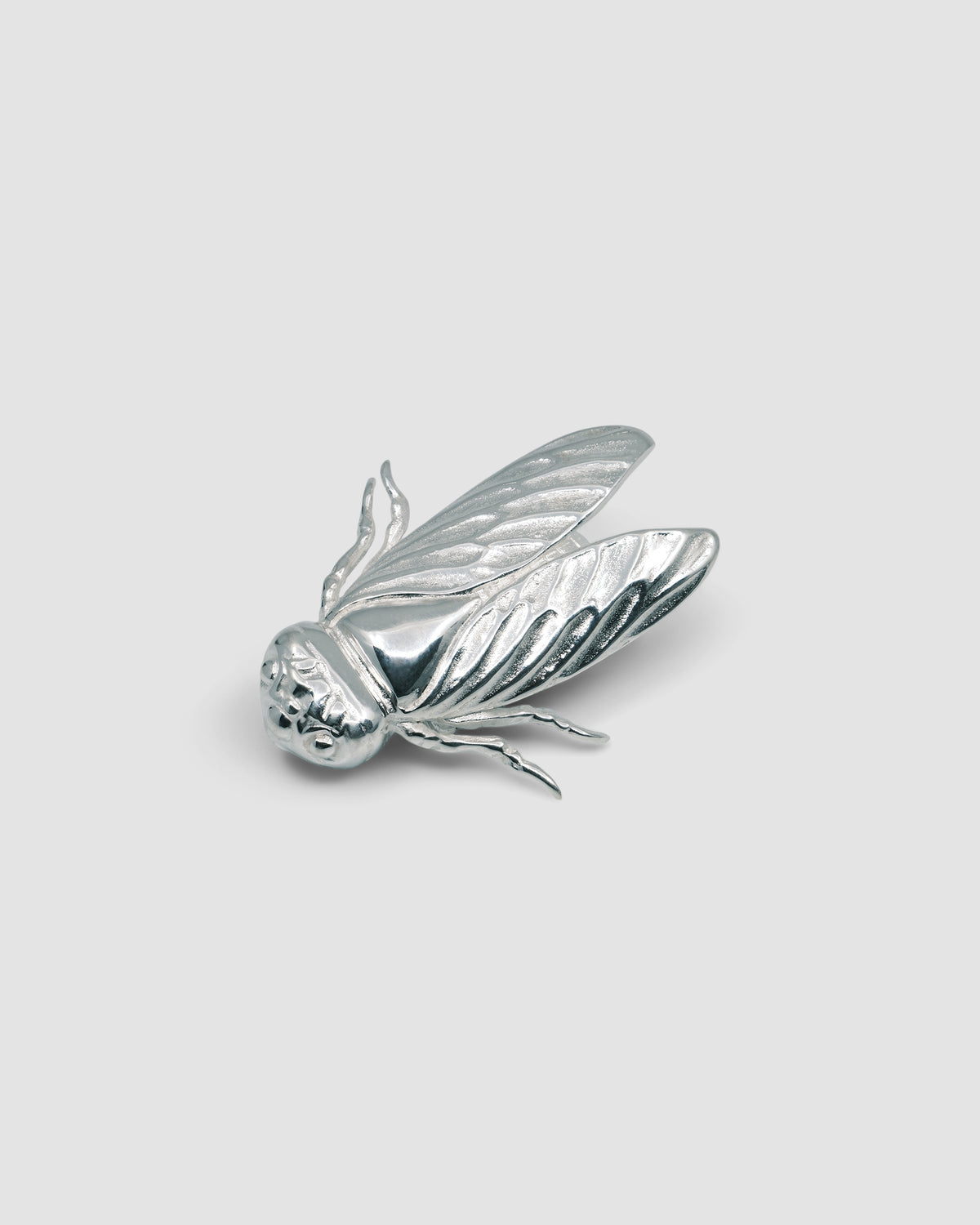 a silver cicada brooch