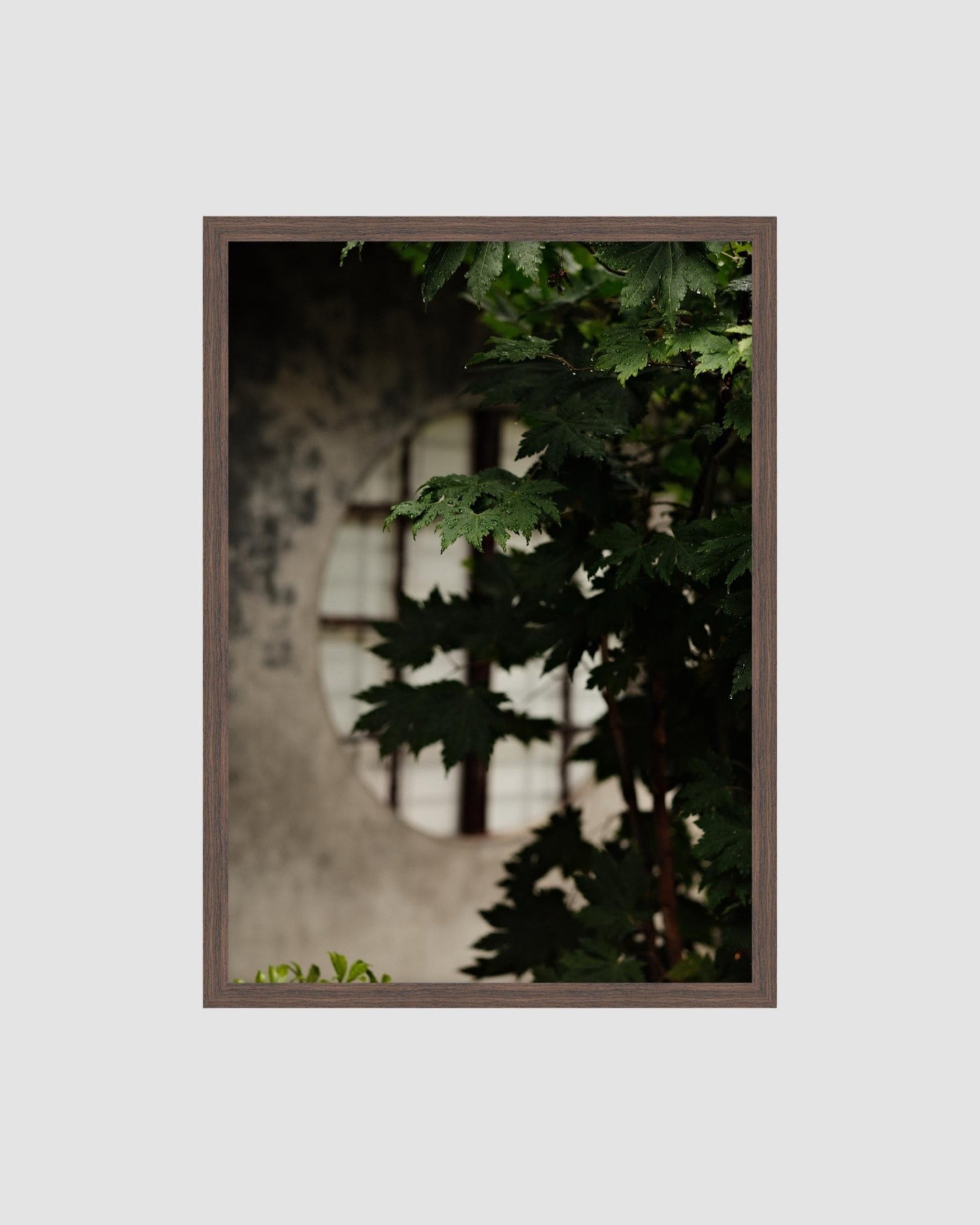 Framed artwork of green leaves against a textured wall background