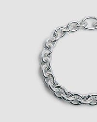 A chunky silver chain necklace